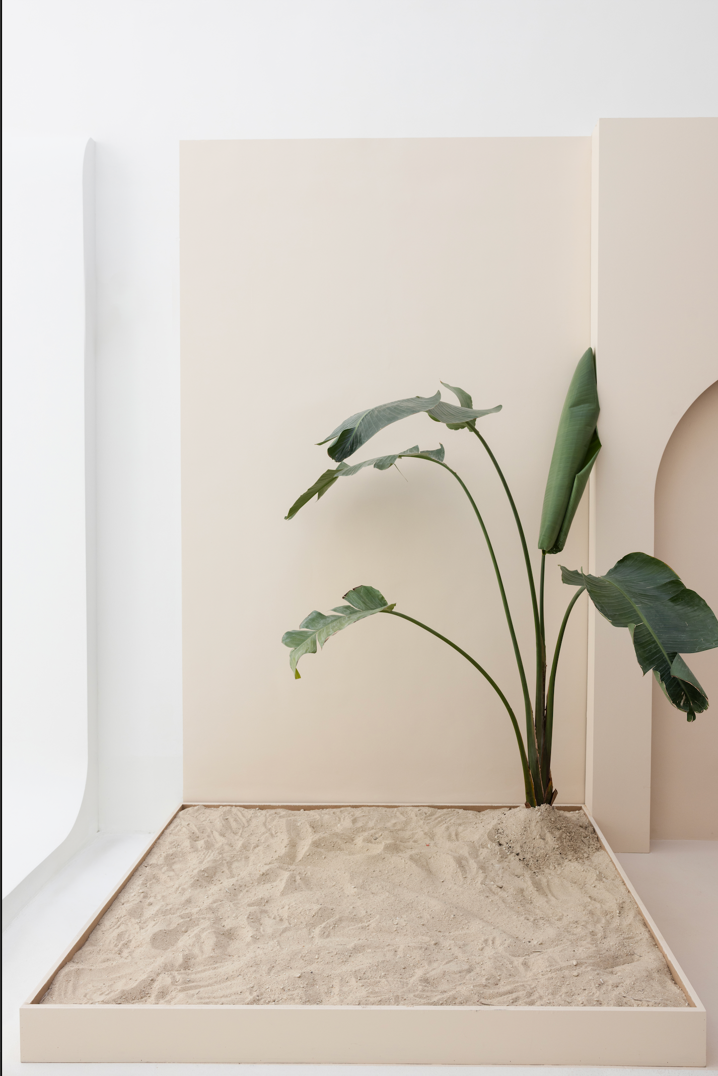 Studio Rental